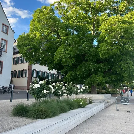 Apartman Luxurioeses 4-zimmer-apt Im Japandi-stil I Top-lage I Familienfreundlich I Terrasse I Kueche I Netflix I Kostenloser Parkplatz I 110 M2 Eltville am Rhein